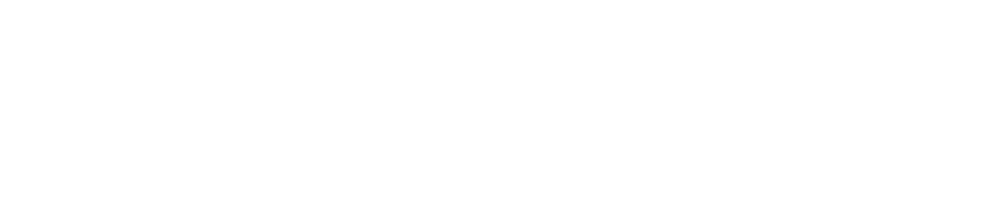 Business Northumberland logo in white