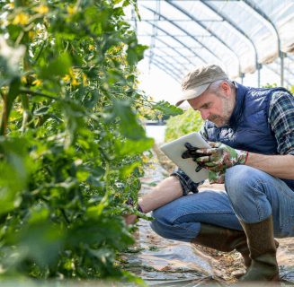 NSBS-man in greenhouse